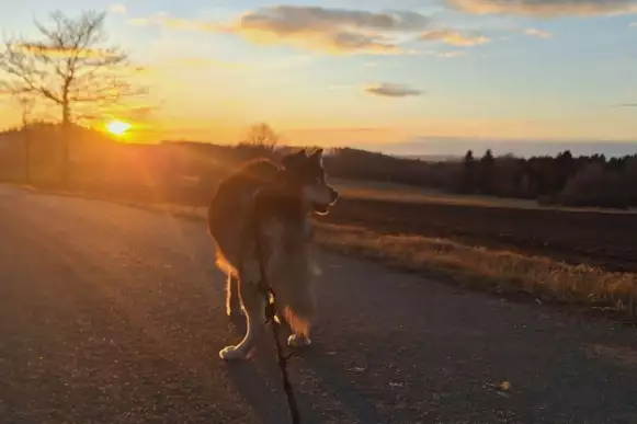 fotografie Léto pod Křemešníkem: užijte si dovolenou na Vysočině