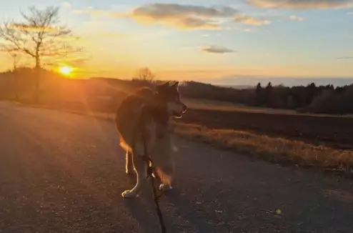 Léto pod Křemešníkem: užijte si dovolenou na Vysočině